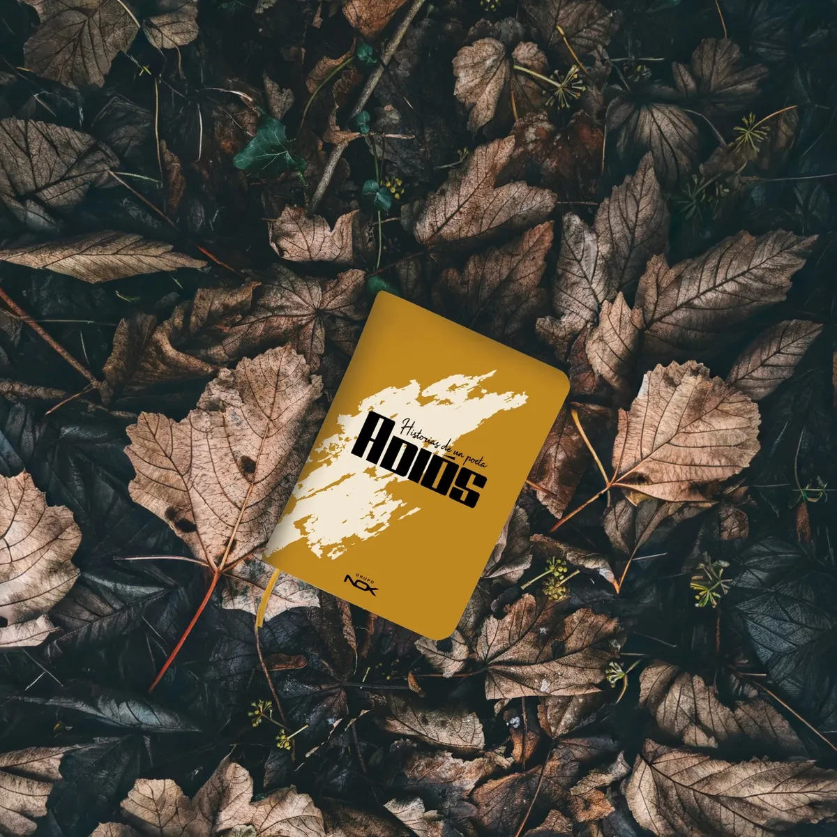 Portada del capítulo X, «Adiós»: un libro de la colección Historias de un Poeta